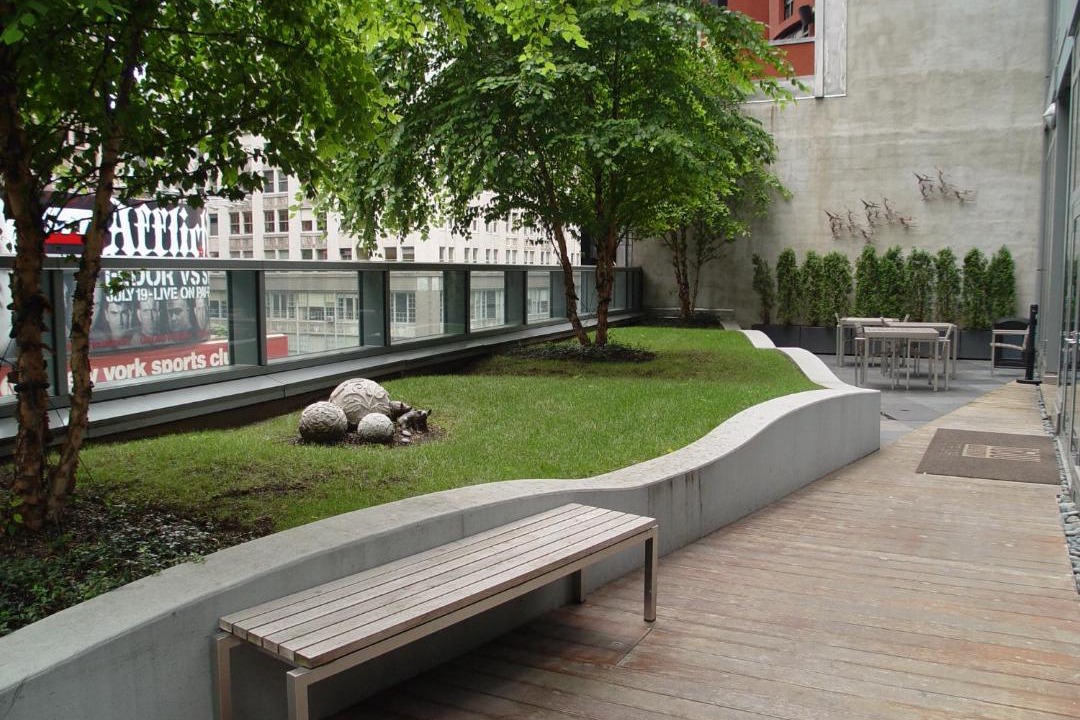 Photo of Others in Central New York City