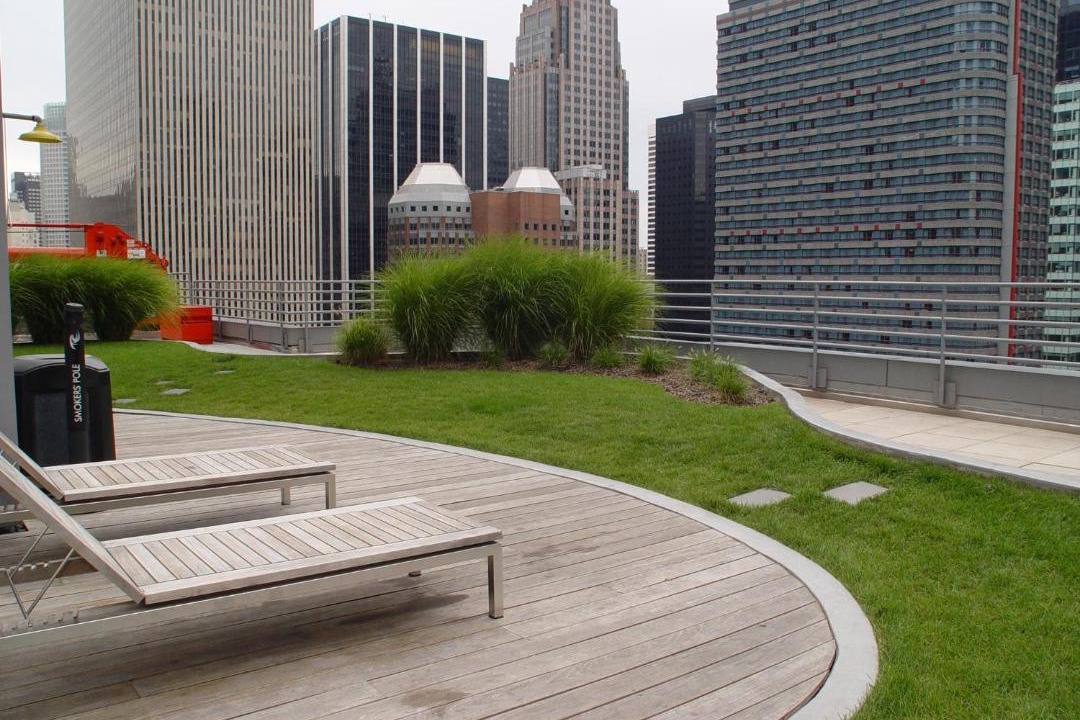 Photo of Others in Central New York City