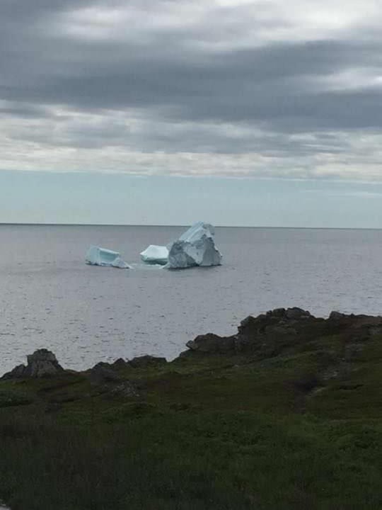 Photo of Others in St. Anthony