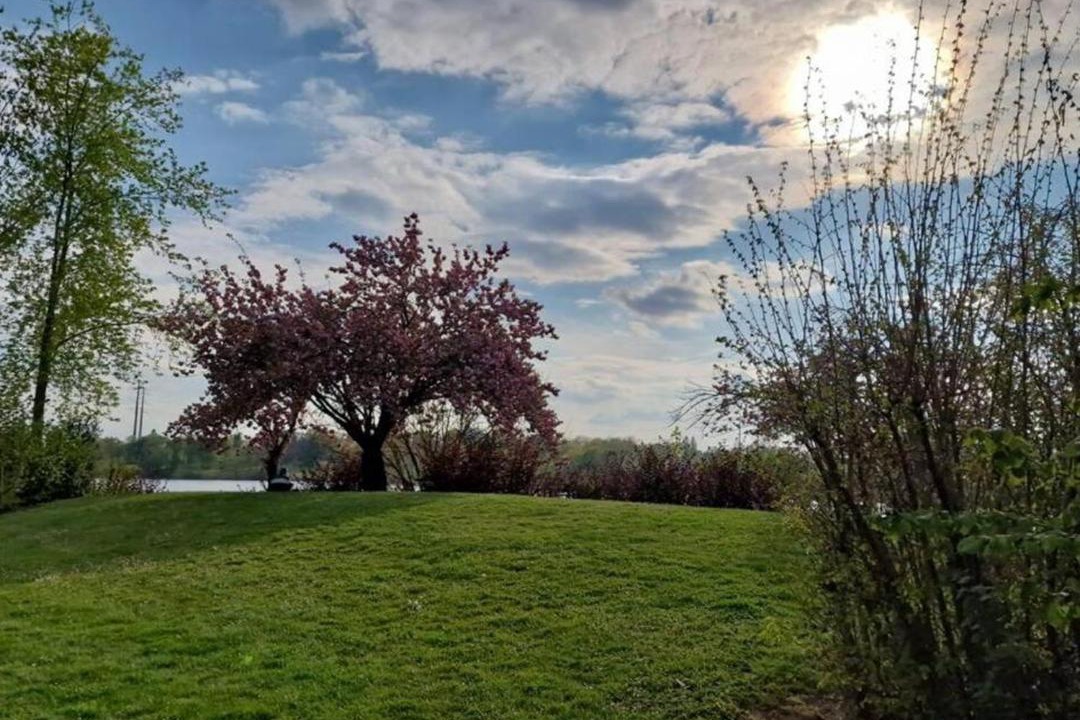 Photo of Others in Front de Lac