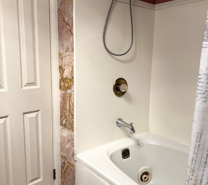 Photo of Others in Albion