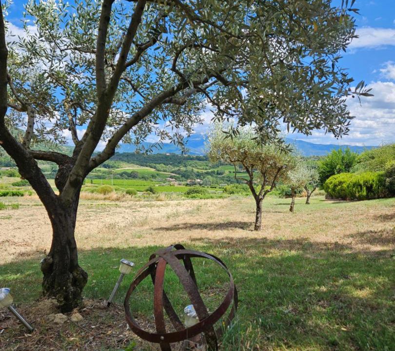 Photo of Others in Puymeras