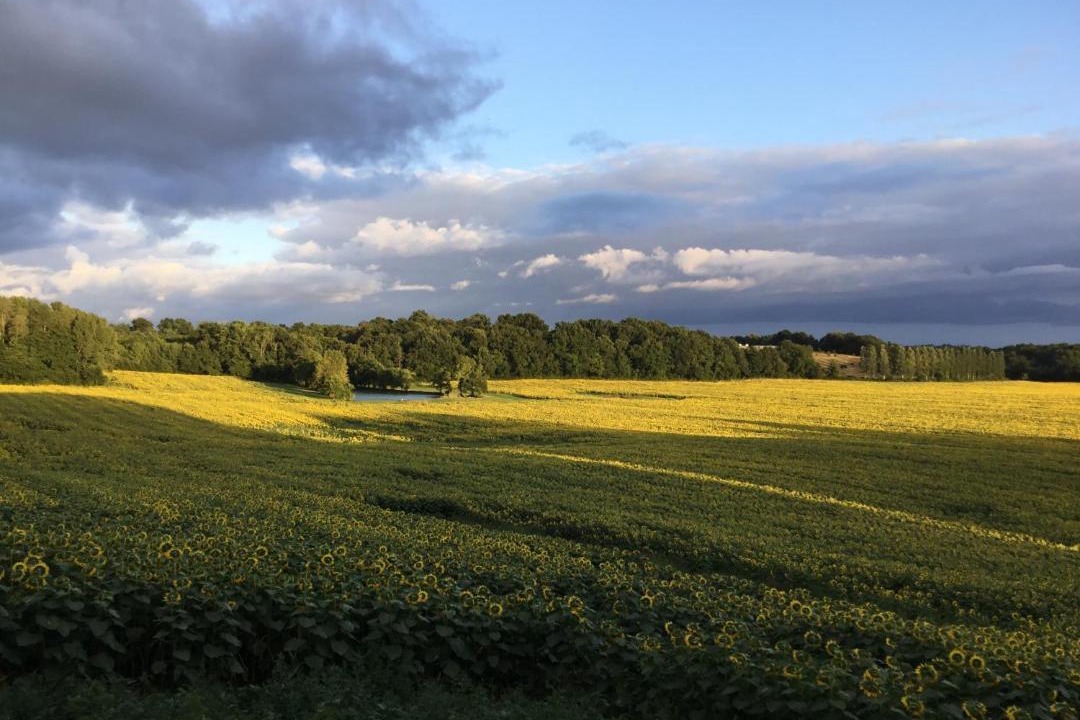 Photo of Others in Castex-d'Armagnac