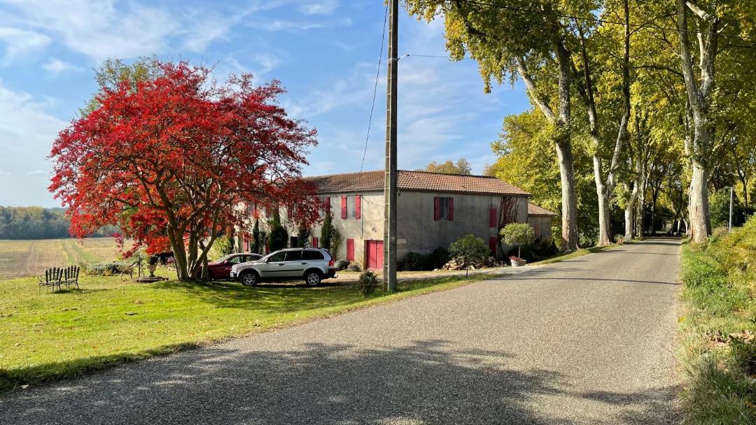 Photo of Others in Castex-d'Armagnac