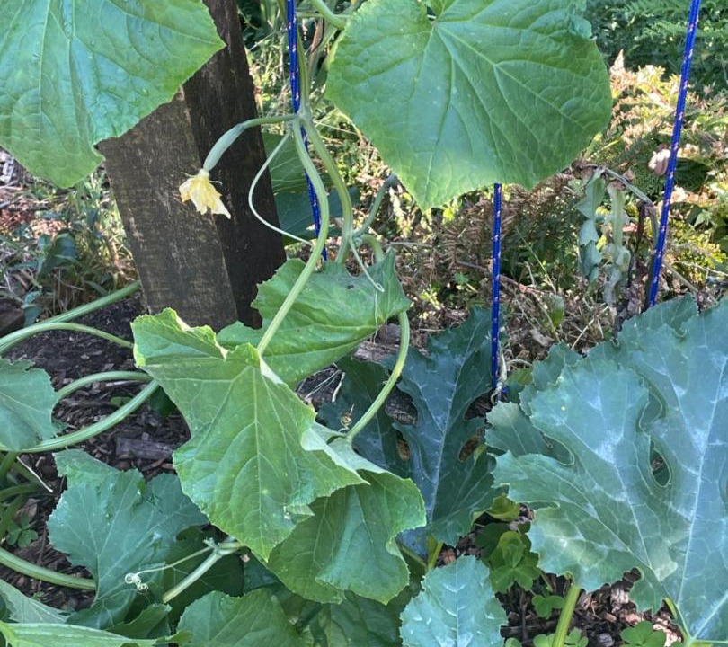 Photo of Outdoor in Bethlehem