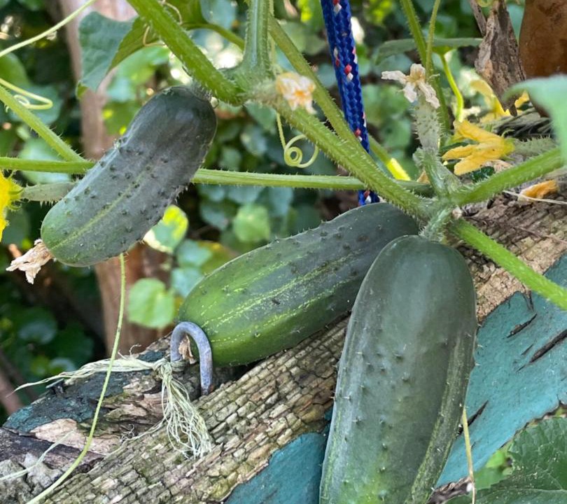 Photo of Outdoor in Bethlehem