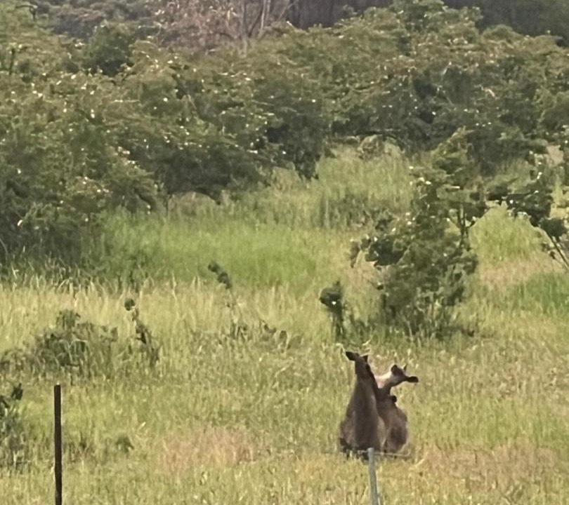 Photo of Others in Mia Mia