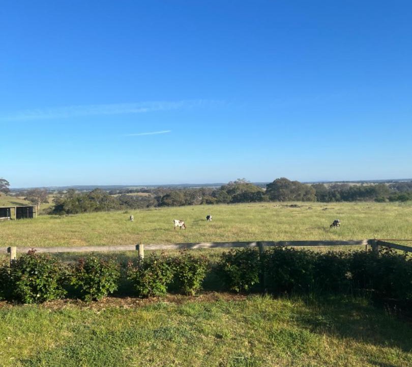 Photo of Others in Mia Mia