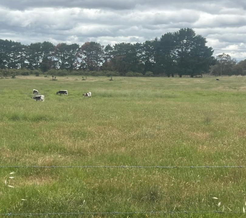 Photo of Others in Mia Mia