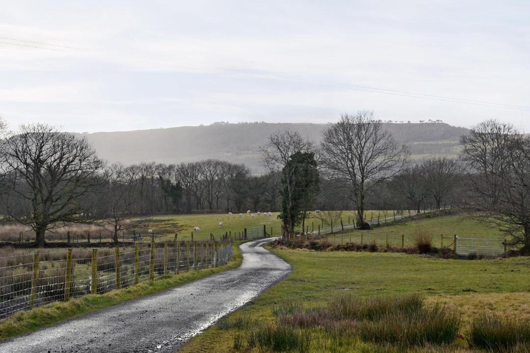 Photo of Others in Cilybebyll