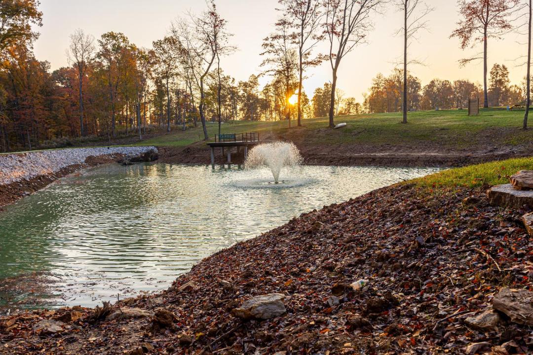 Photo of Others in Shoals