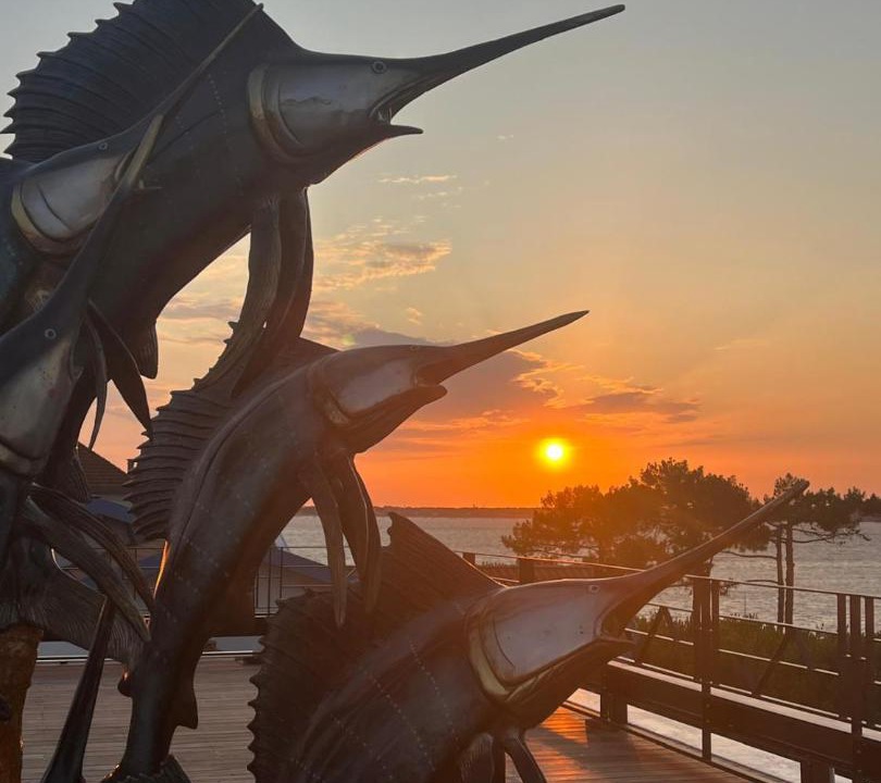 Photo of Others in Le Moulleau