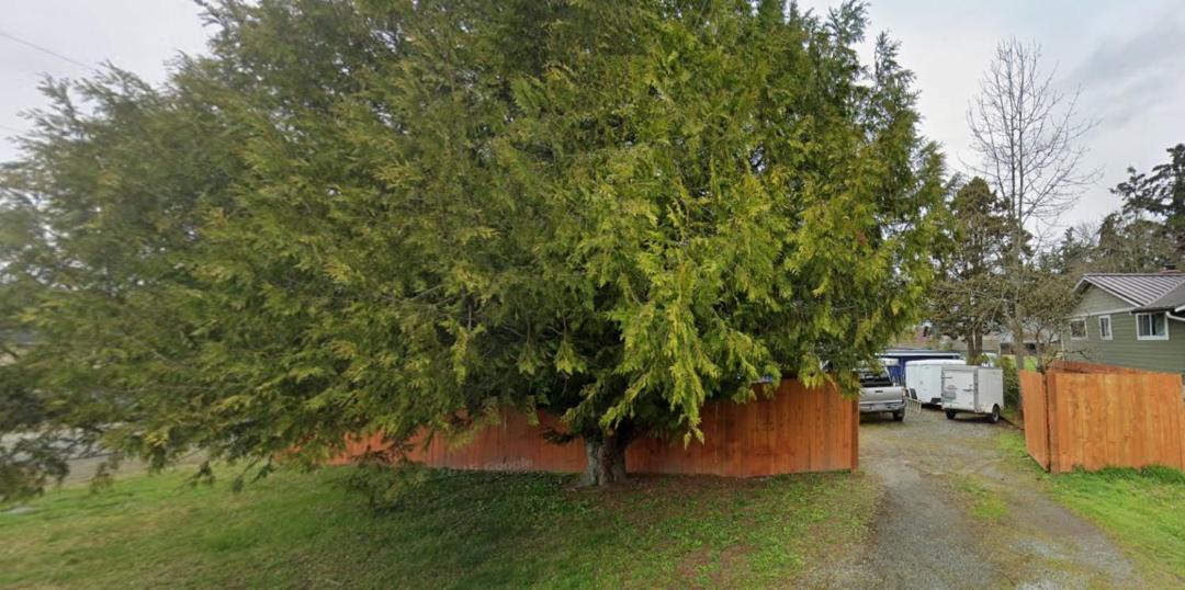 Photo of Others in Edgewood