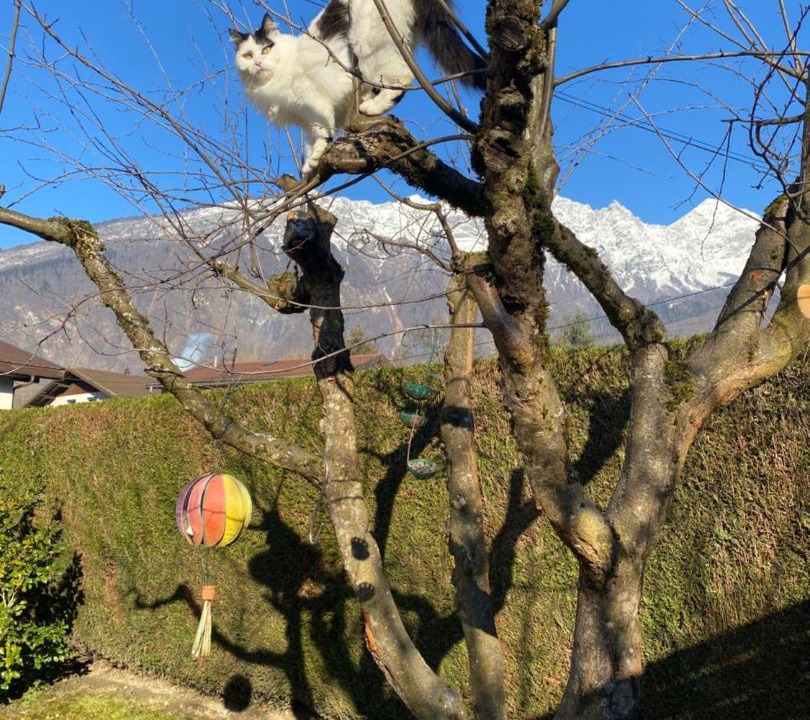 Photo of Others in Outrechaise