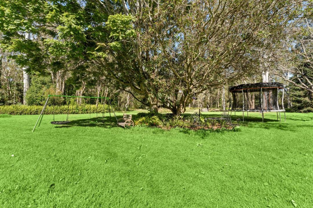 Photo of Others in Chandler