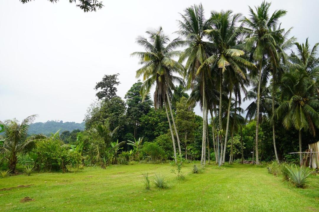 Photo of Others in Dusun Tua