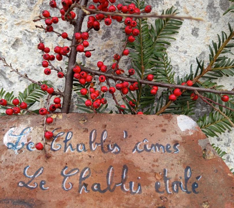 Photo of Others in Champagnole