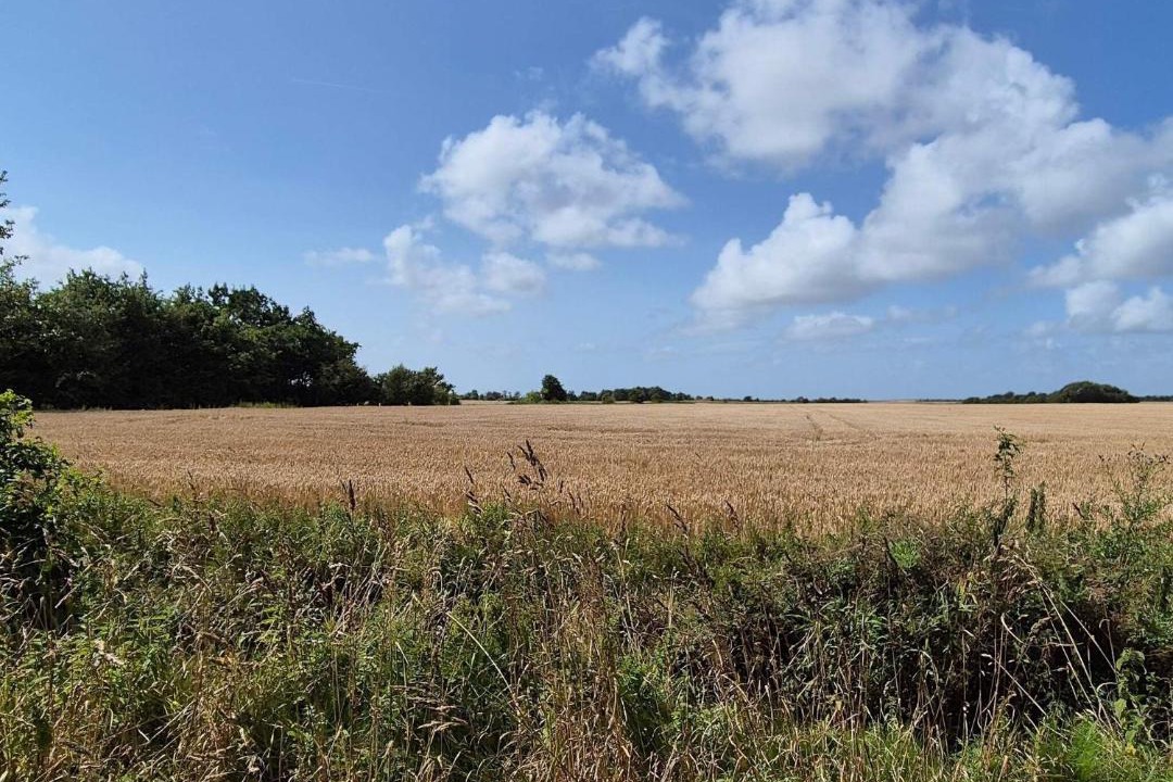 Photo of Others in Skaerbaek