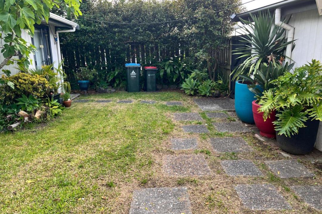 Photo of Others in Mount Eden