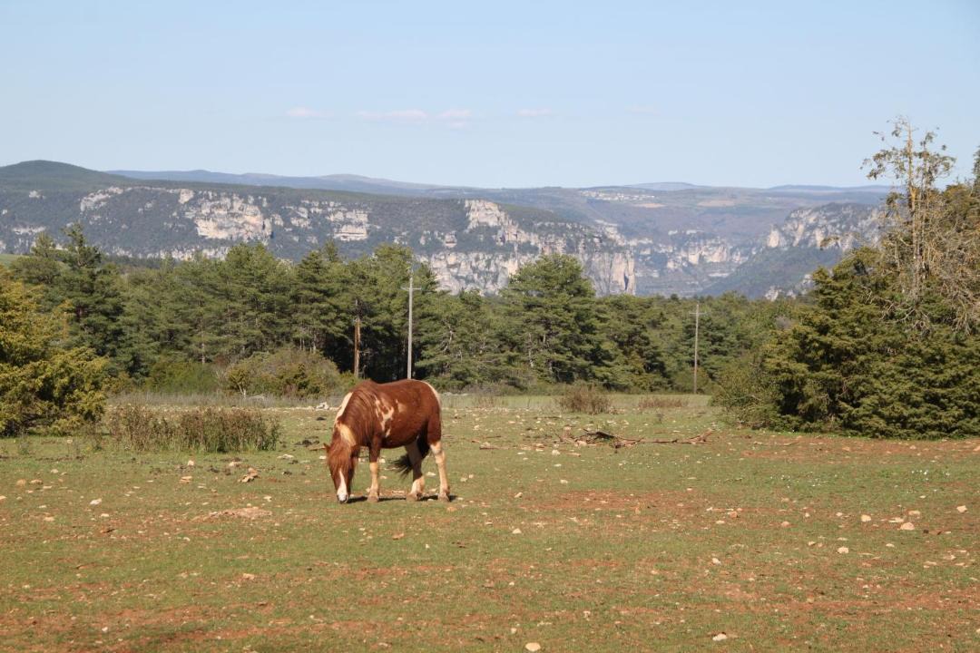 Photo of Others in La Cresse