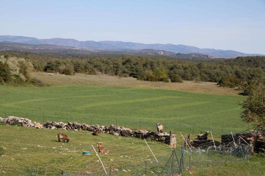 Photo of Others in La Cresse
