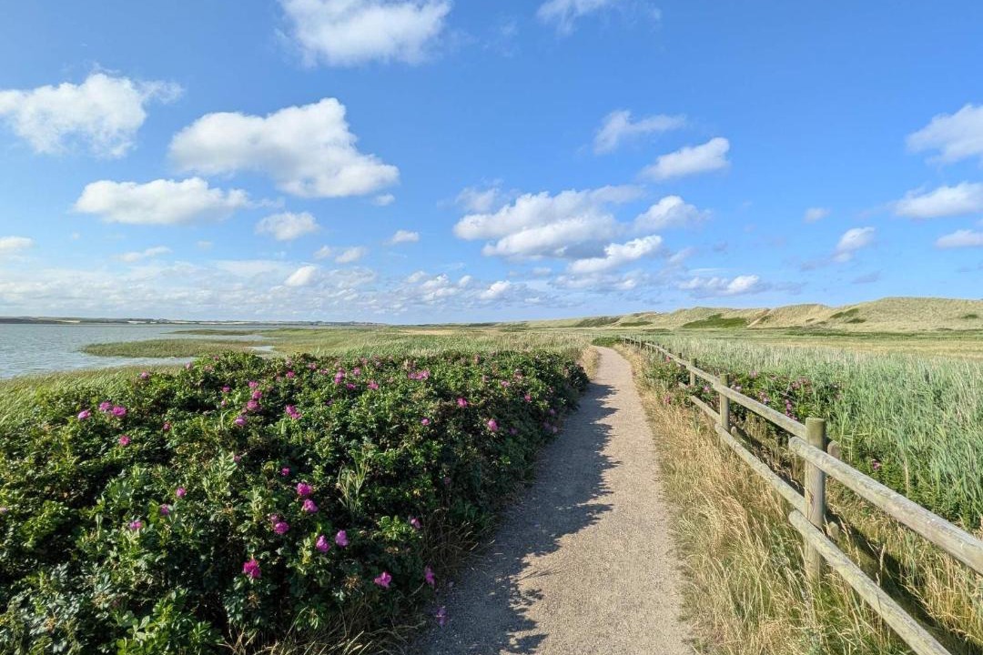 Photo of Others in Vrist Strand