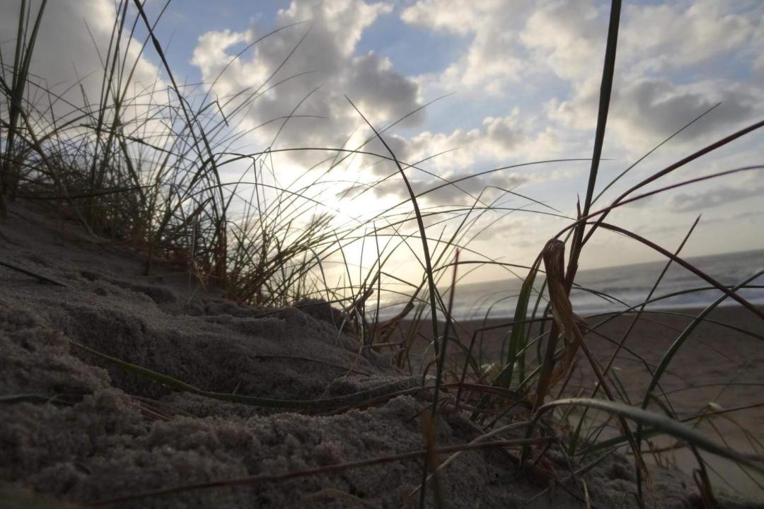 Photo of Others in Vrist Strand