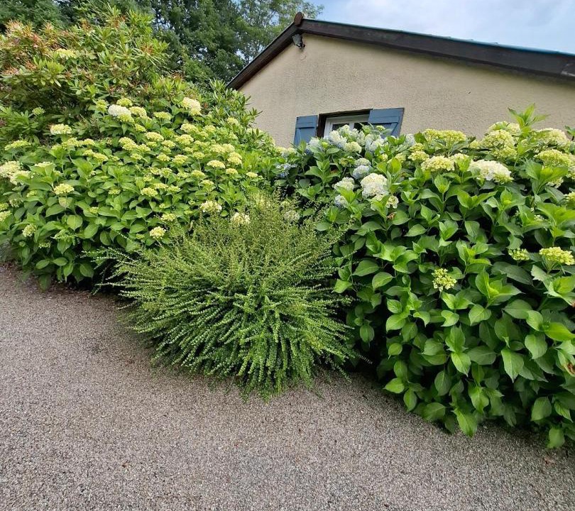 Photo of Others in Montoulieu