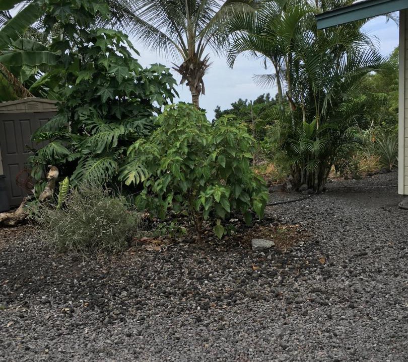 Photo of Others in Kona Palisades