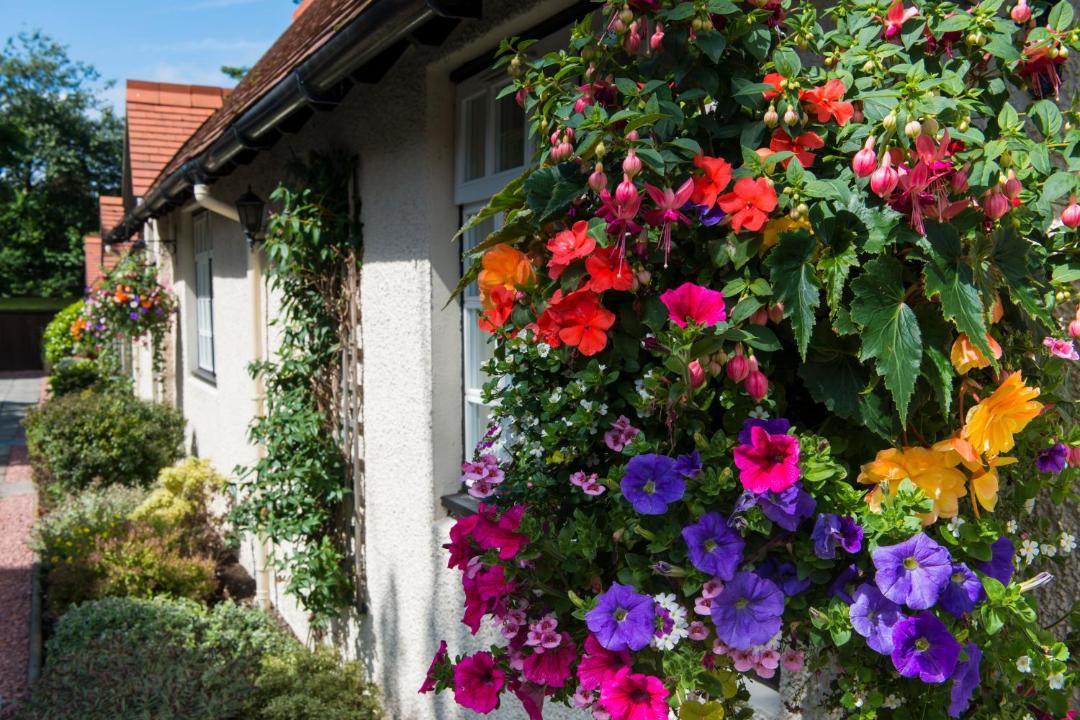 Photo of Others in Troon