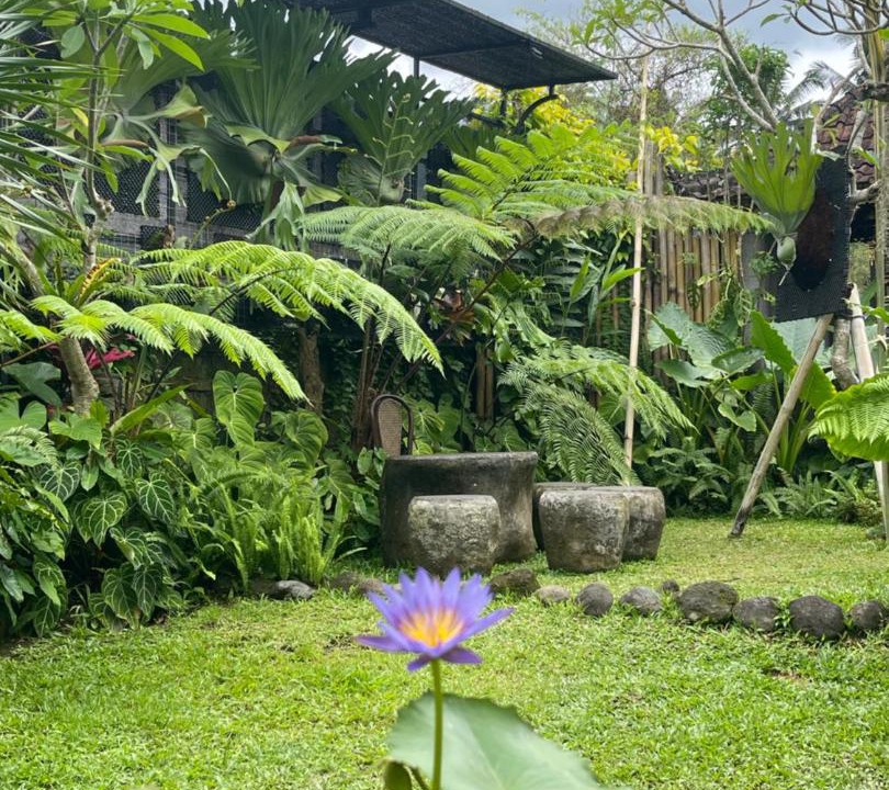 Photo of Others in Sidemen