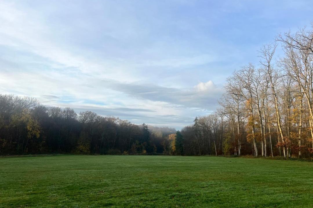 Photo of Others in Chaumes-en-Brie