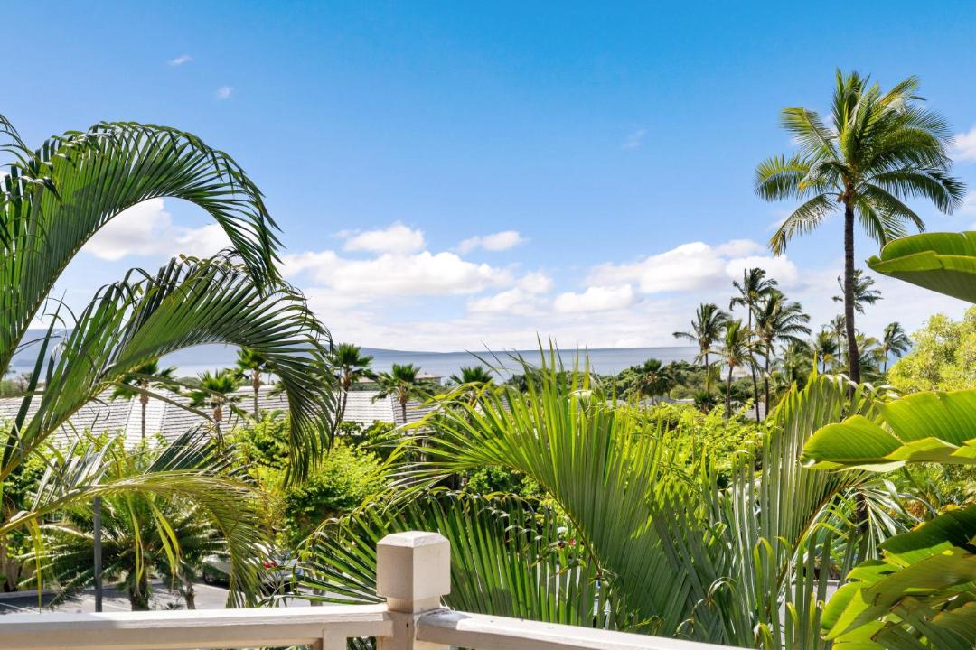 Photo of Others in Wailea