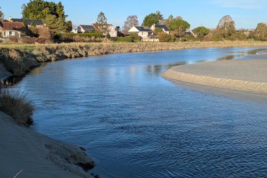 Photo of Others in Vains