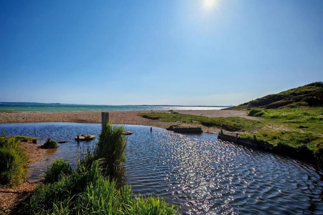 Photo of Others in Netley