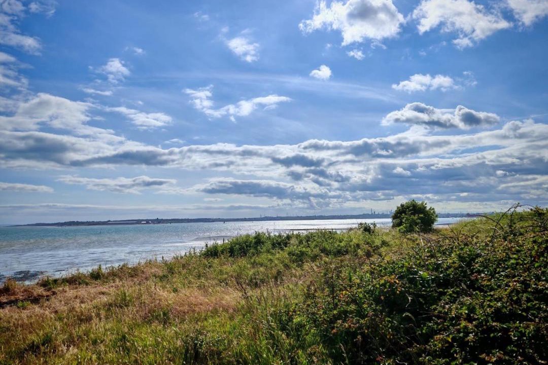 Photo of Others in Netley