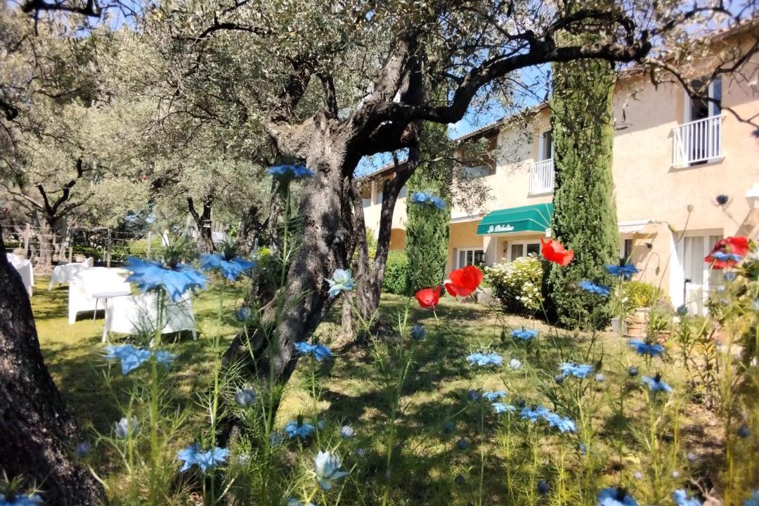 Photo of Others in Nyons