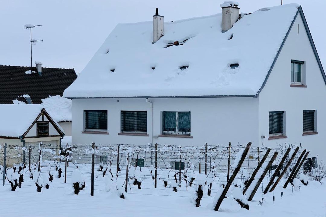 Photo of Others in Riquewihr