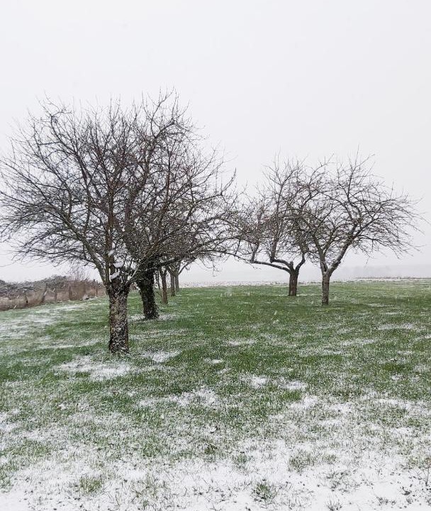 Photo of Others in Magny-Fouchard