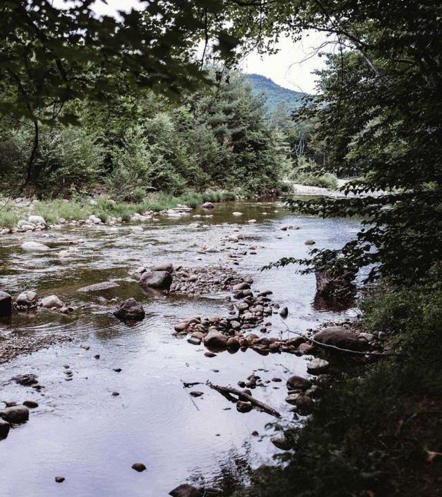 Photo of Others in North Woodstock