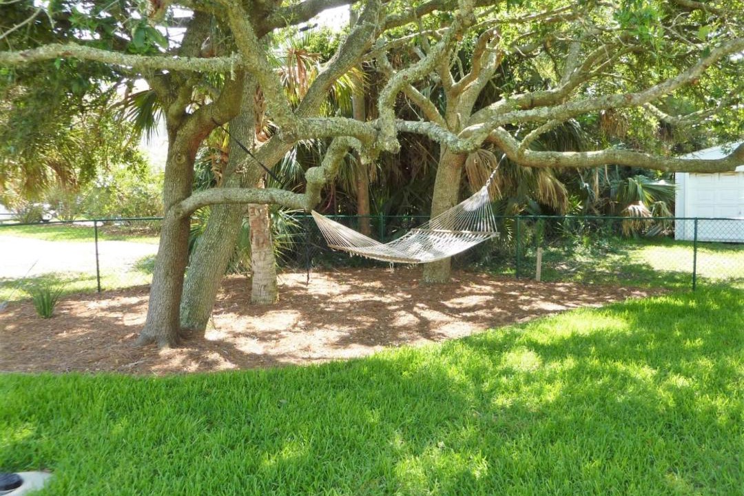 Photo of Outdoor in Jekyll Island