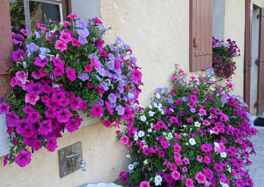 Photo of Others in Saint-Privat-des-Pres