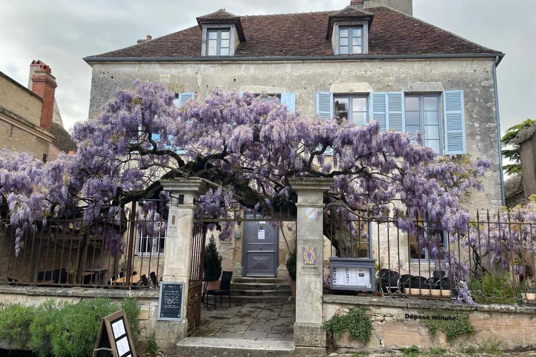 Photo of Others in Vezelay