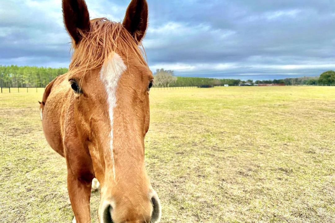 Photo of Others in Reddick