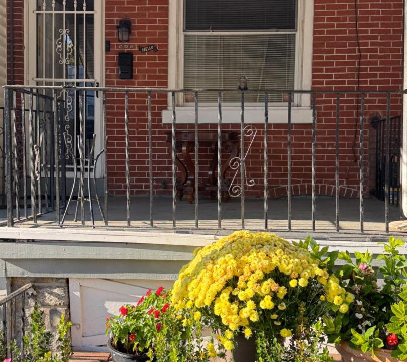 Photo of Others in Chester