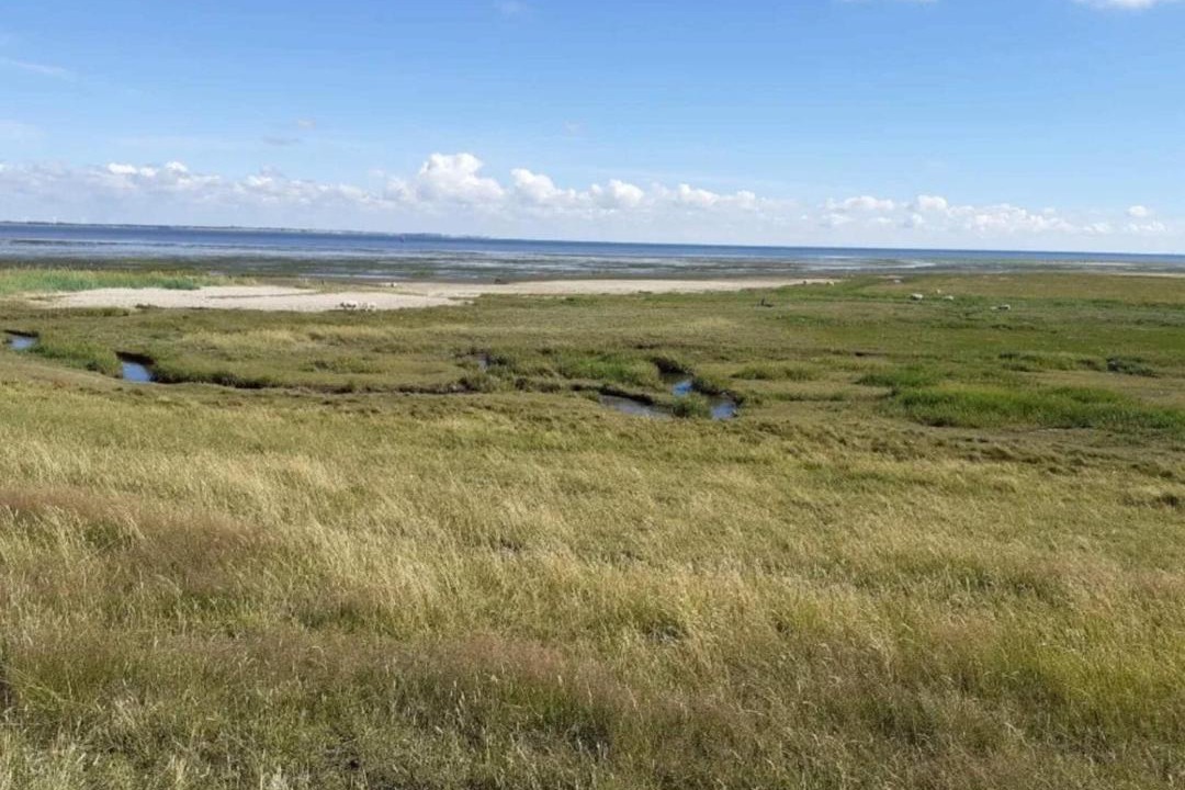Photo of Others in Sønderstrand