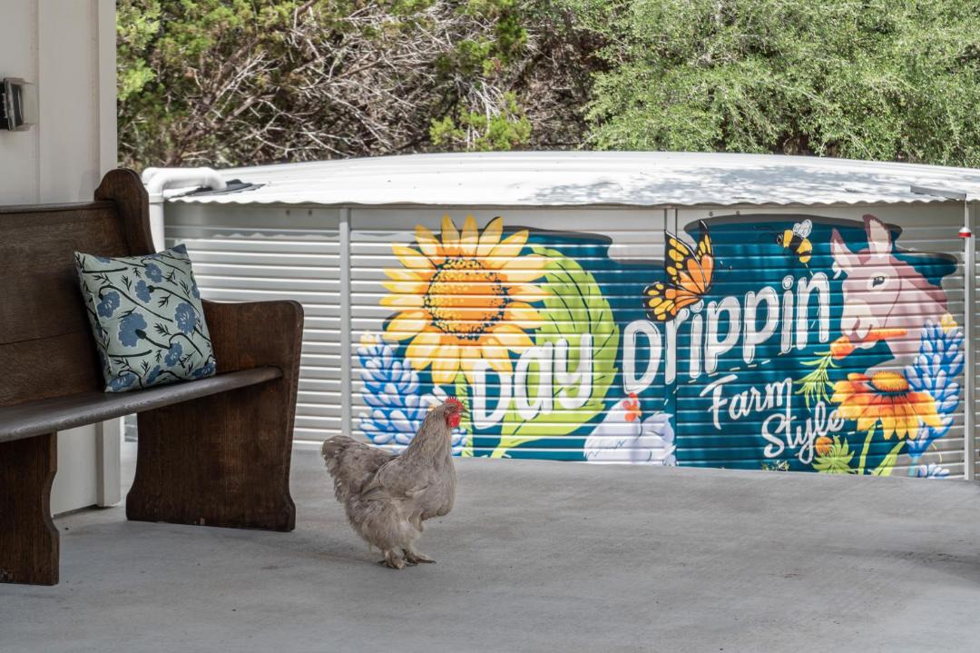Photo of Others in Dripping Springs