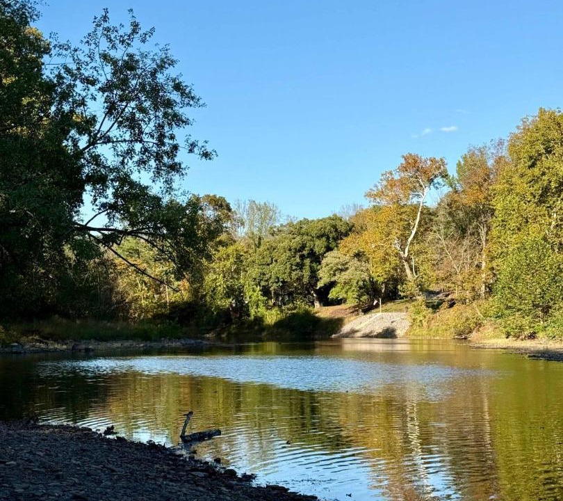 Photo of Others in Great Cacapon