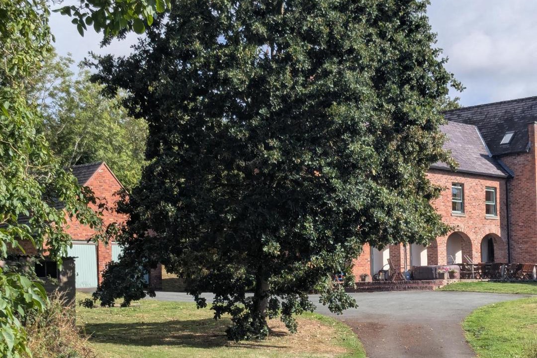 Photo of Others in Guilsfield