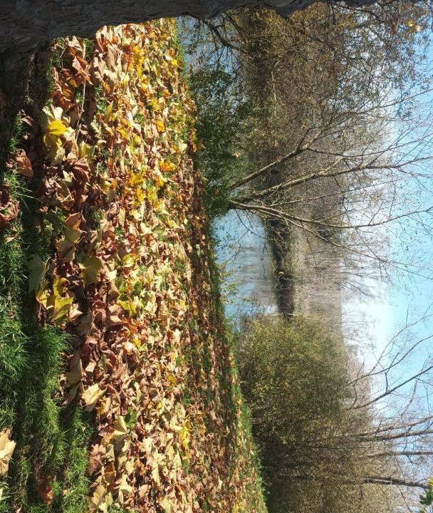 Photo of Others in Dieue-sur-Meuse